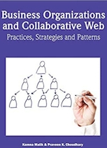 Business Organizations and Collaborative Web: Practices, Strategies and Patterns